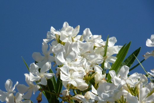 640420 (a): :1600x1068